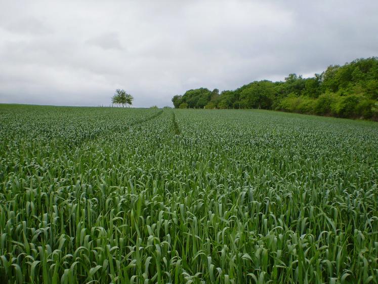Il s’agit d’aller chercher la meilleure performance pour réduire le coût des charges fixes. 