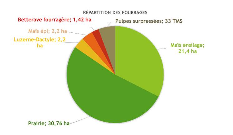 À l’EARL Belles des Prés, les prairies représentent plus de la moitié des fourrages proposés aux vaches laitières. 