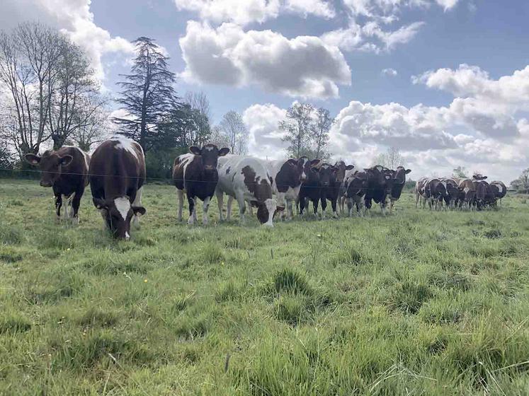 La gestion de l’herbe automnale conditionne la prochaine campagne d’herbe.
