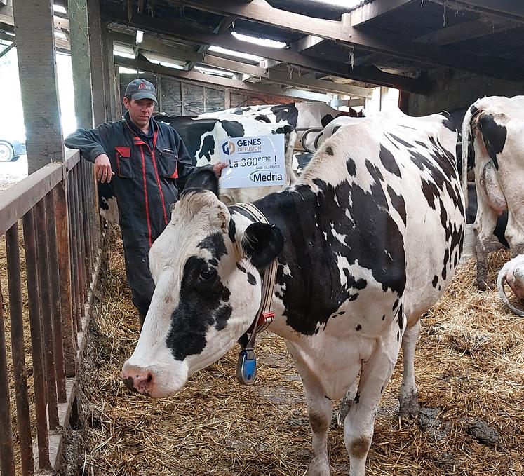 La solution Médria proposée par Gènes diffusion à ses adhérents offre une multitude de services en matière de reproduction, santé, alimentation, bien-être et vêlage.