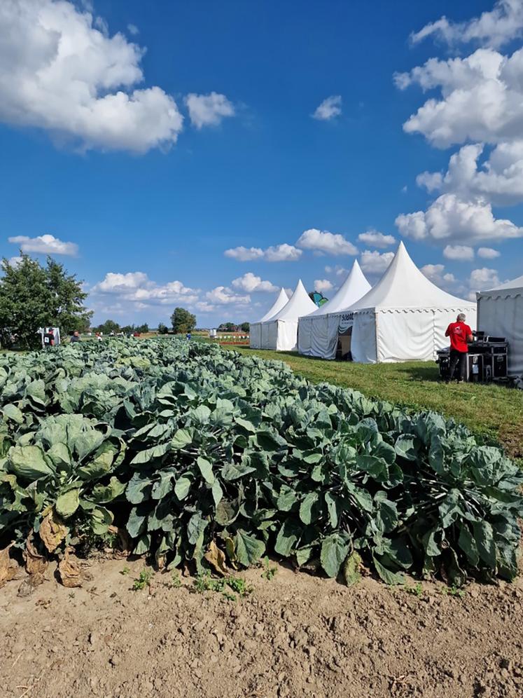 Au programme de la journée technique fruits et légumes, qui a eu lieu à Lorgies  le 14 septembre : visites de parcelles d'essais, rencontre avec les exposants  et conférences. 