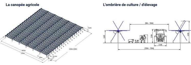 La canopée agricole proposée par TSE est fixe dans ses écartements. Par contre, la distance entre les rangées d'ombrières  est adaptable.