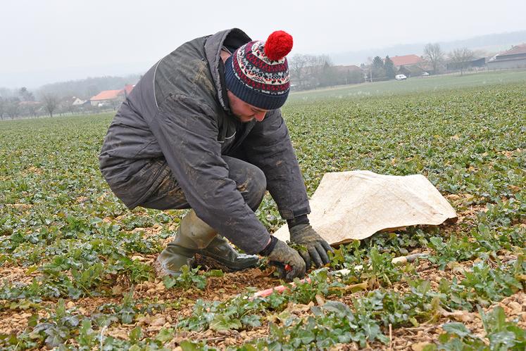 L’estimation de la biomasse à la sortie de l’hiver doit intervenir dans les semaines à venir  et viendra compléter l’estimation faite à l’entrée de l’hiver. 