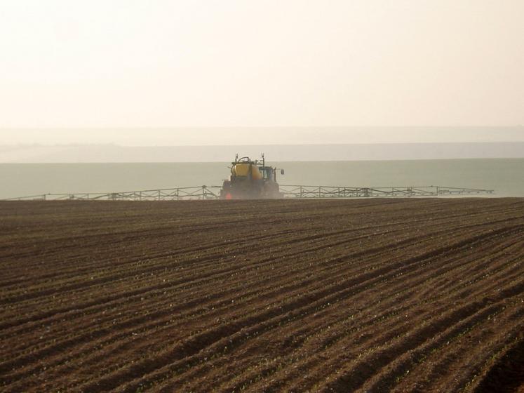 En 2022, le désherbage a été compliqué à gérer dans un certain nombre de parcelles. 