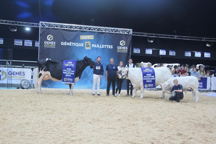 À gauche, Haissapom, miss paillettes holstein et à droite, Réaction P, miss paillettes charolaise. 