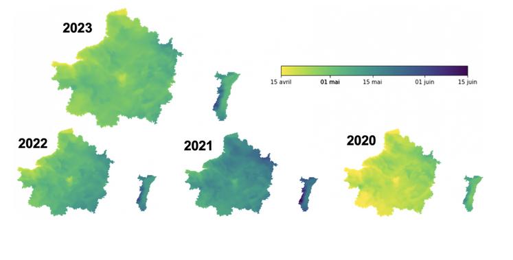 La date moyenne d’arrivée des pucerons au niveau national est le 2 mai 2023, comparativement au 6 mai en 2022, au 15 mai en 2021 et au 22 avril en 2020. 