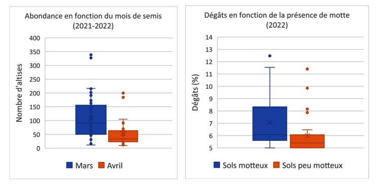 Dates de semis et préparation du sol conditionnent la bonne implantation du lin. 