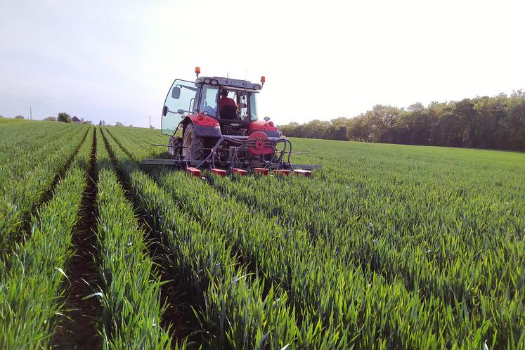 Le semis du soja est effectué avec un semoir monosem 7 rangs équipé d’éléments Precision planting (50 cm inter-rang). 