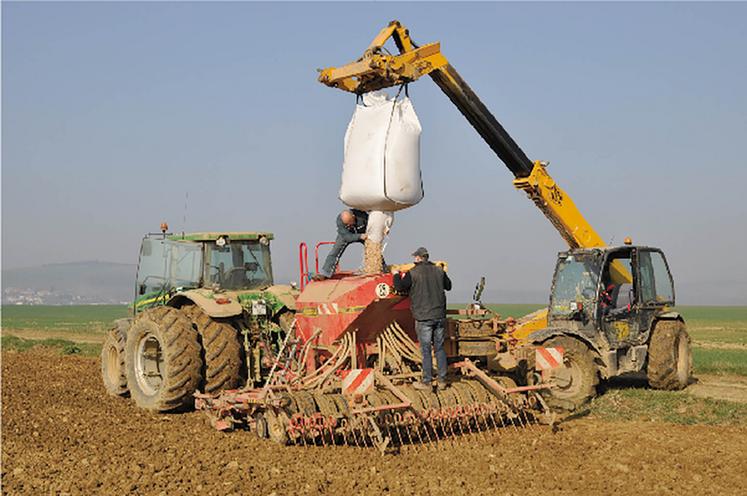 Le semis précoce de certaines espèces protéagineuses permet de limiter les risques de stress hydrique et thermique.