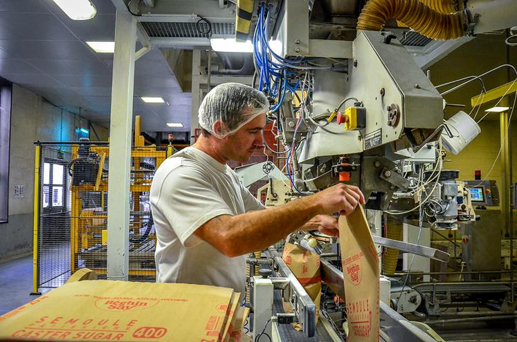 Selon la direction de Tereos, les cours du sucre devraient rester élevés en 2023-2024, en raison - notamment - d’un nouveau déficit de production au niveau mondial. 