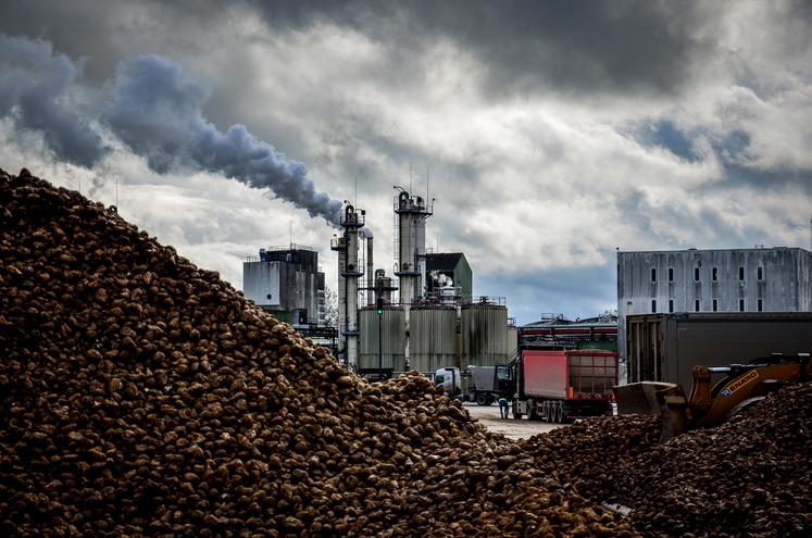 prix du sucre Tereos