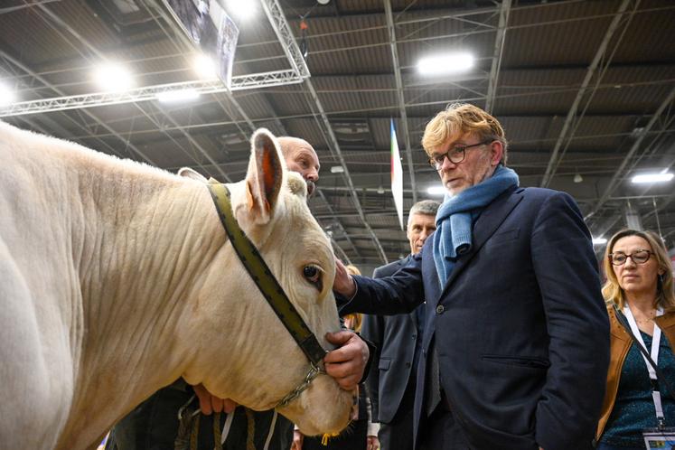 Fesneau Cour des comptes élevage
