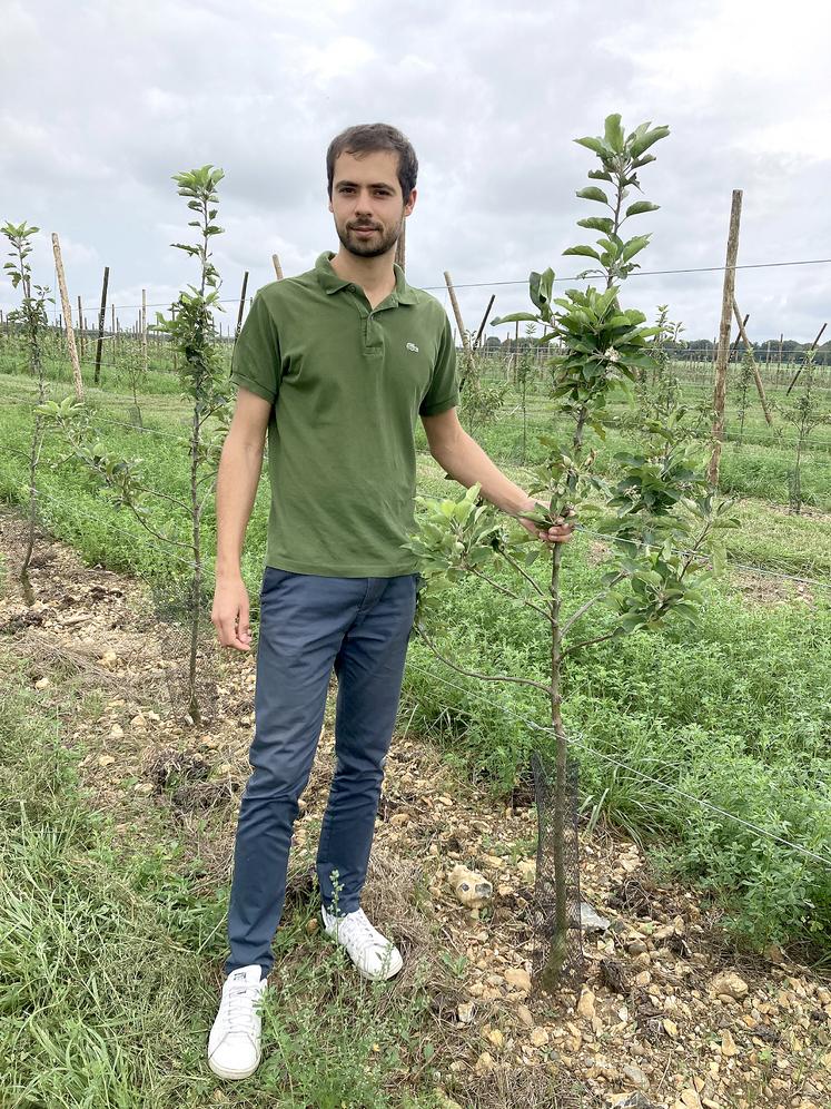 Mathis Taoufik doit attendre la deuxième floraison de ses pommiers  pour pouvoir récolter, en septembre prochain. 