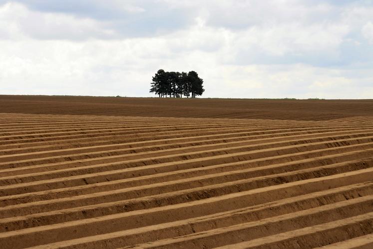 La proposition de loi portée par le député Jean Terlier autoriserait (entre autres)  la sous-location de parcelles pour certaines cultures - la pratique est jusqu’à  maintenant interdite - moyennant une indemnisation au propriétaire bailleur. 