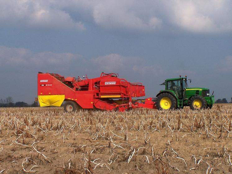 En 2022, l'influence des conditions météorologiques locales et le recours ou non à l'irrigation ont entraîné des écarts de rendement importants. 