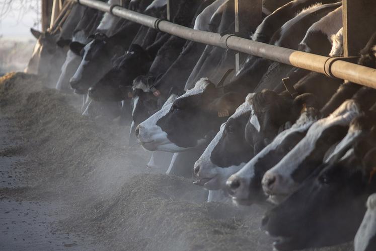 Pour optimiser les transports, Novial demande de la flexibilité aux éleveurs. Deux jours de battement pour la livraison  permettent une économie de kilomètres et d’émissions de carbone. 