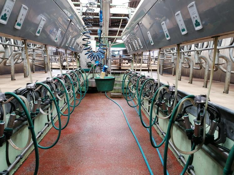 collecte de lait de vache en baisse