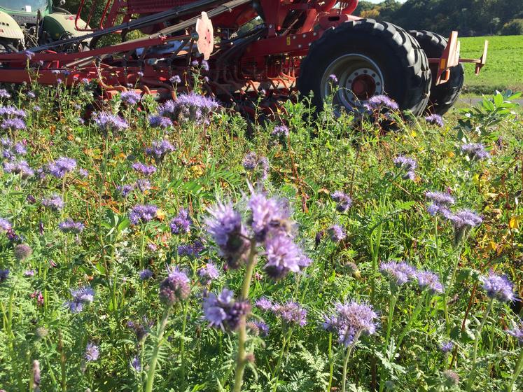 intercultures Paraclet