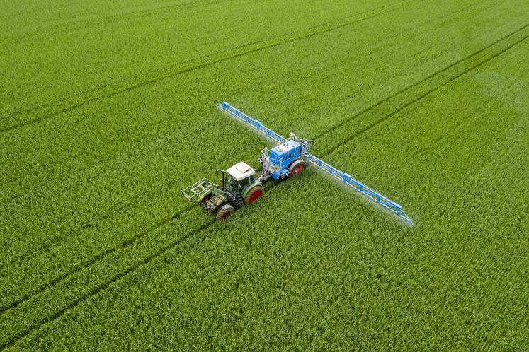 glyphosate