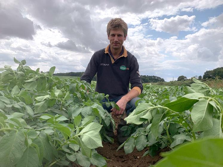En plus de son puits, Mathieu Mascré bénéficie de 17 000 m3 d’eau pour irriguer ses cultures, directement amenée de la sucrerie via un réseau sous-terrain. 