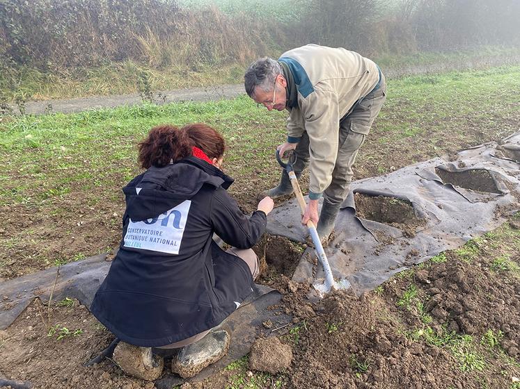 René et Éliane travaillent ensemble pour planter chaque arbuste.