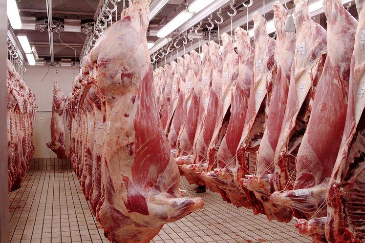 Sur les quelque 230 abattoirs de boucherie français, seuls seront accompagnés ceux qui seront «identifiés comme stratégiques pour un territoire ou une filière». 