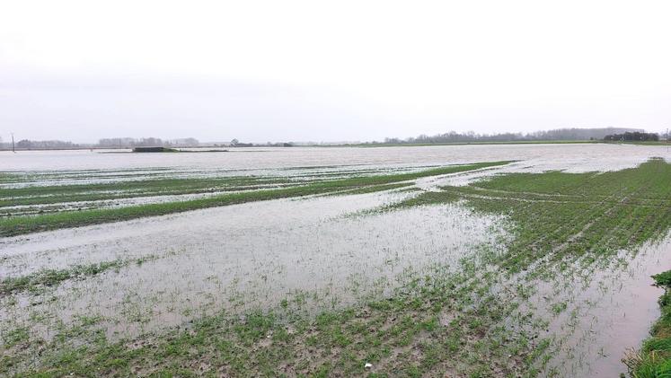 En baie d’Authie, il faudra certainement atteindre fin mars ou début avril pour que l’eau se retire des terres.