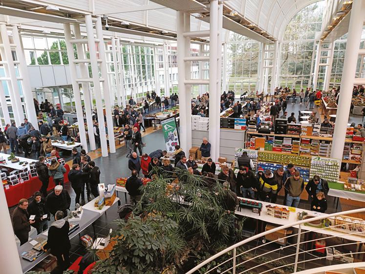 L’édition 2023 a rassemblé 1 300 visiteurs dans l’Agora.