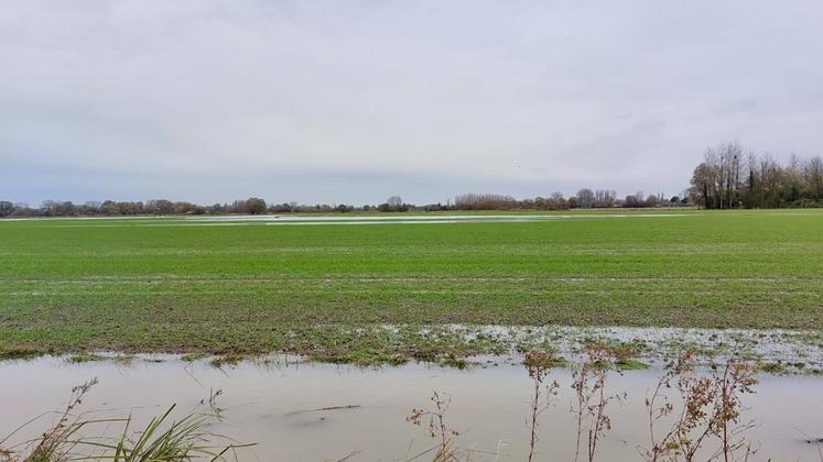 Lorsque l’eau a stagné plusieurs jours, toutes les plantes ont parfois disparu.