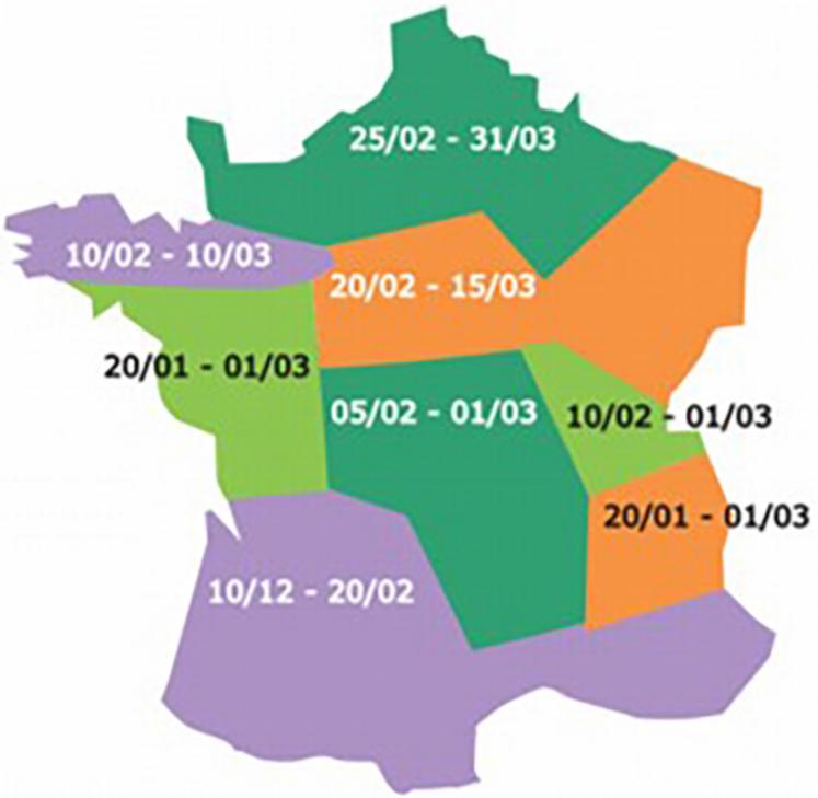 Période optimale de semis du pois de printemps selon les régions.