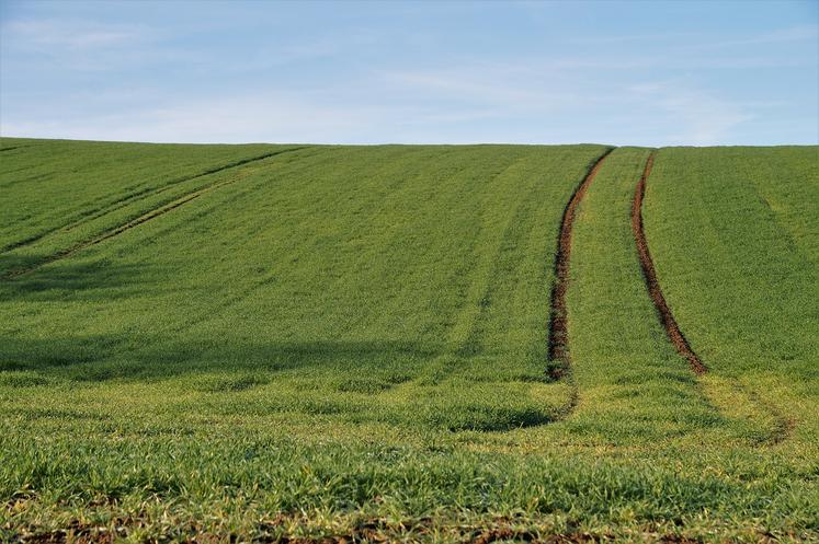 jachère obligatoire dérogation
