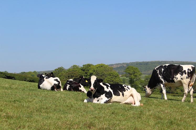 Grâce à une très bonne pousse de l’herbe, l’année 2023 a souvent été l’occasion de reconstituer des stocks fourragers  qui étaient déficitaires.