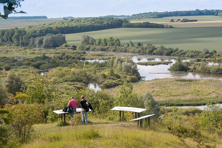 Les vallées de la Somme et de l'Avre restent le berceau de nombreuses espèces menacées. 