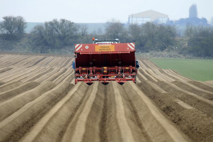 Pour le Comité Nord Plants, l’avenir radieux de la filière pommes de terre passe aussi par une meilleure rémunération des producteurs de plants.  