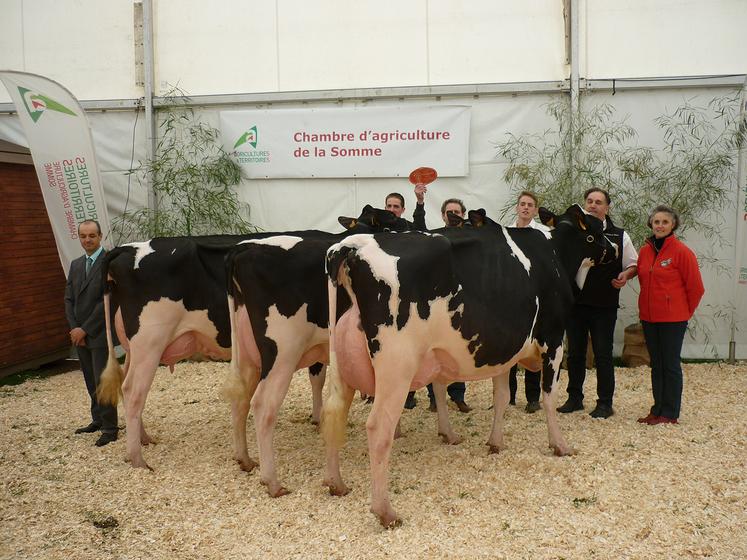 Alors qu’un concours départemental se profile le 1er avril à l’occasion de la Foire de Montdidier, l’association donne d’ores  et déjà rendez-vous à ses adhérents pour une formation à la préparation des animaux. 