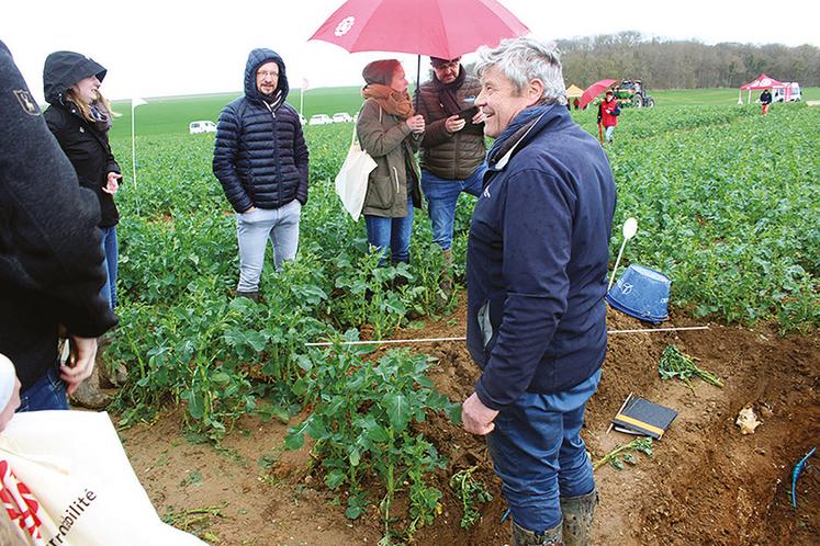 Observation de l’implantation des racines du colza avec Gérard de Beaudrap, spécialiste de Timac Agro.