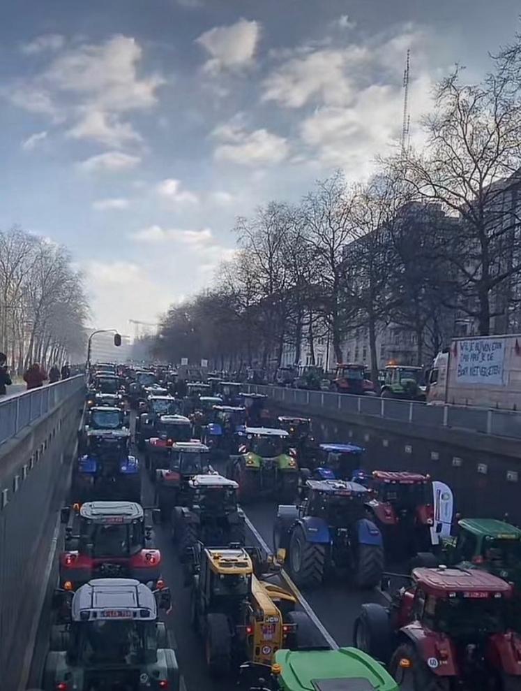 manifestation Bruxelles