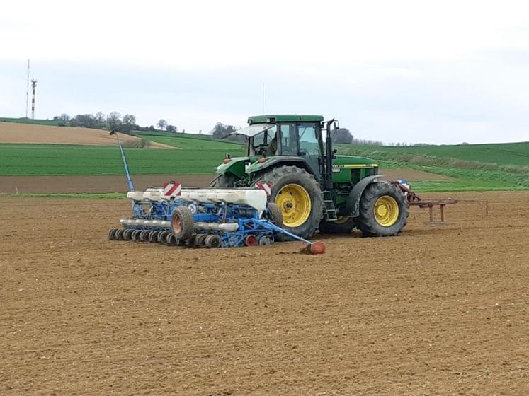 Préparation du sol et semis.