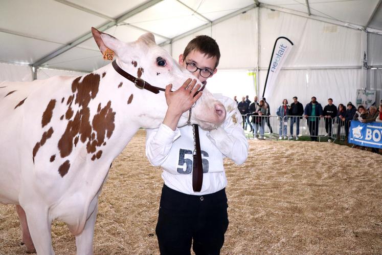 Le concours départemental de la race holstein reste l’un des temps forts de la Foire agricole de Montdidier.