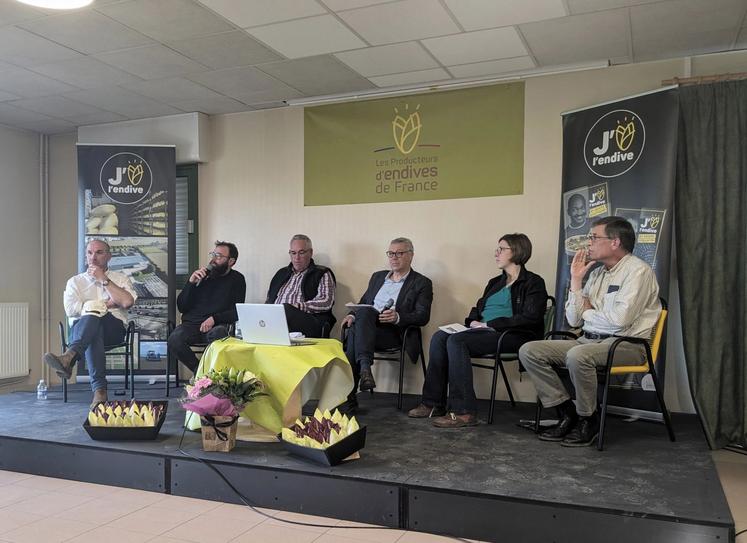 Les solutions de désherbage pour les champs de racines d’endives n’en finissent pas de focaliser l’attention des endiviers.