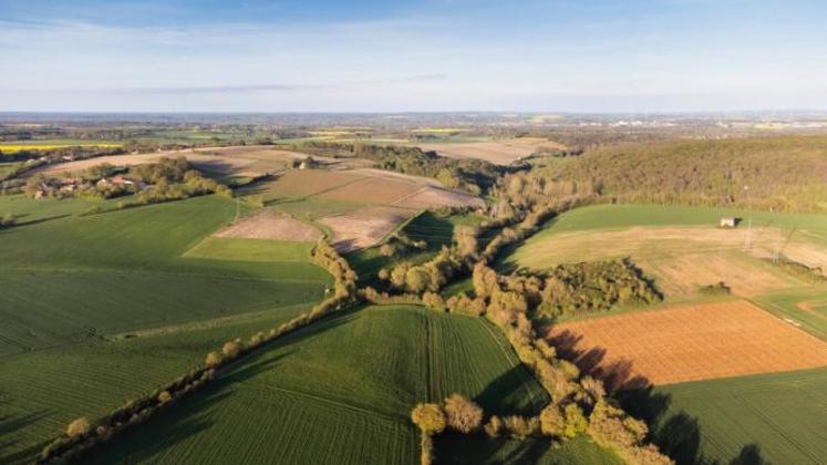 annonces gouvernementales