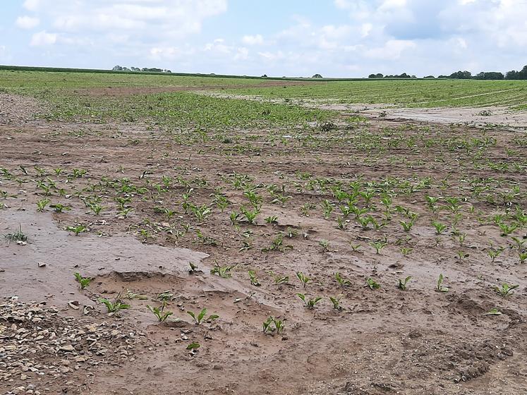 Les aménagements réalisés par les agriculteurs sur la commune de Sailly-Laurette n’ont pas suffi face à la violence de la pluie tombée fin de semaine dernière. 