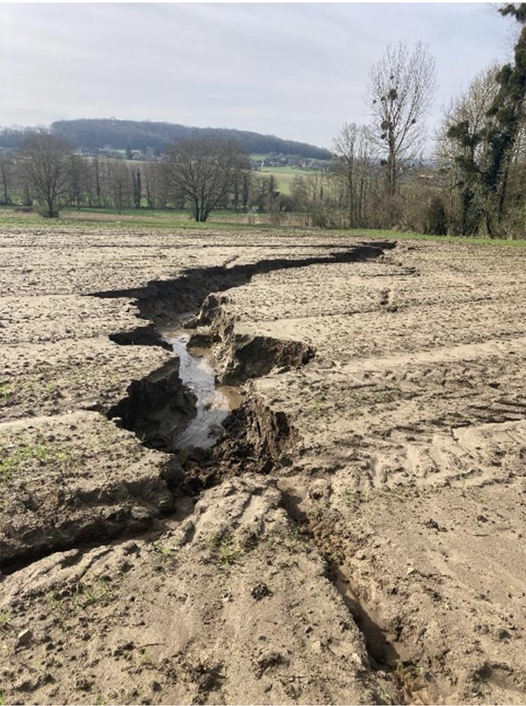 Ravines dans une parcelle de blé le 22/03/2024 secteur est.
