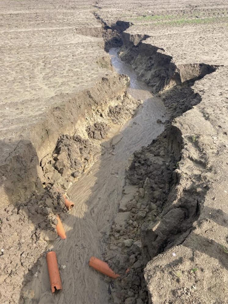 Ravines dans une parcelle de blé le 22/03/2024 secteur est.