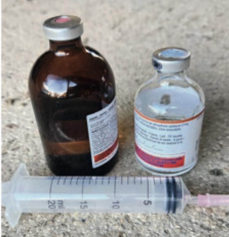 Une nouvelle réglementation pourrait ouvrir la possibilité aux éleveurs de détenir des médicaments dans les élevages pour soigner des pathologies connues.