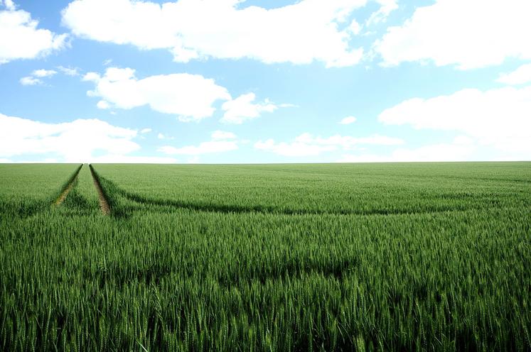 Au départ de leur fermier, beaucoup de propriétaires n’hésitent pas à vendre leurs terres, car ils ne veulent pas s’engager dans un nouveau bail relevant du statut  du fermage qu’ils jugent trop contraignant et insuffisamment rémunérateur. 