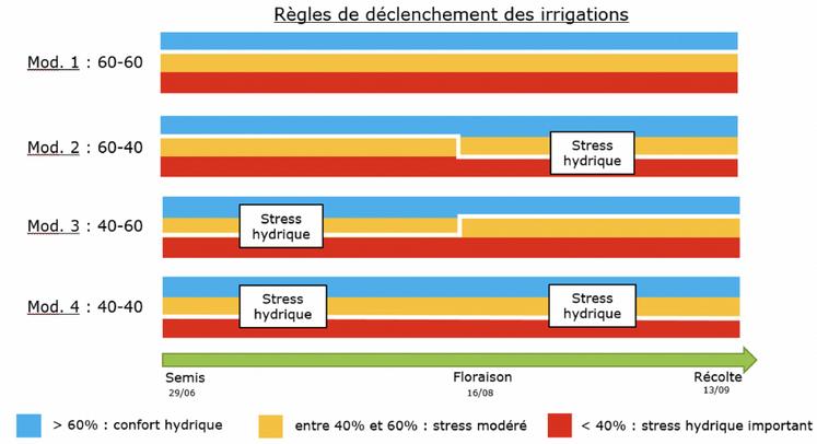 Graphique 2 : Modalités de stress hydrique imposées à la culture de haricots.