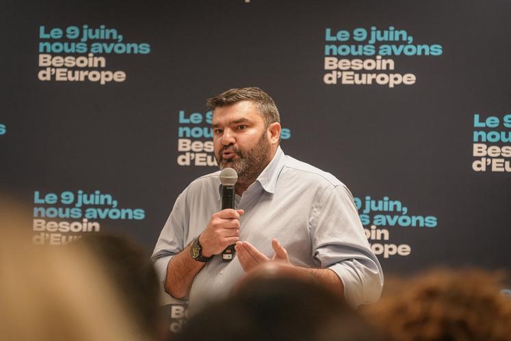 Decerle européennes