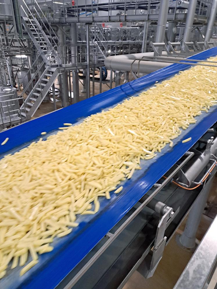 Une trentaine d’acteurs de l’emploi et de la formation  en Hauts-de-France sont allés à la rencontre des responsables d’Ecofrost fin de semaine pour préparer les recrutements  à venir pour la future usine de Péronne. 