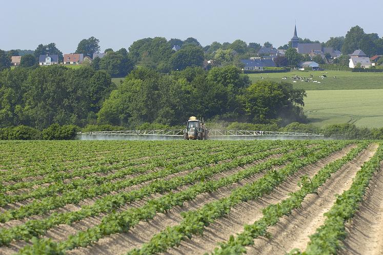 La cadence des traitements doit être resserrée à trois jours en croissance très active.